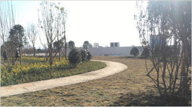 大理喜洲廠景觀施工