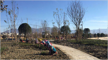 大理上關(guān)廠景觀施工