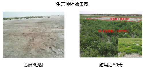 1558069530541106.png 生態(tài)種植效果圖.png